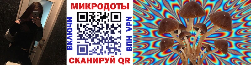 OMG сайты даркнета Telegram Галлюциногенные грибы мухоморы Лесозаводск