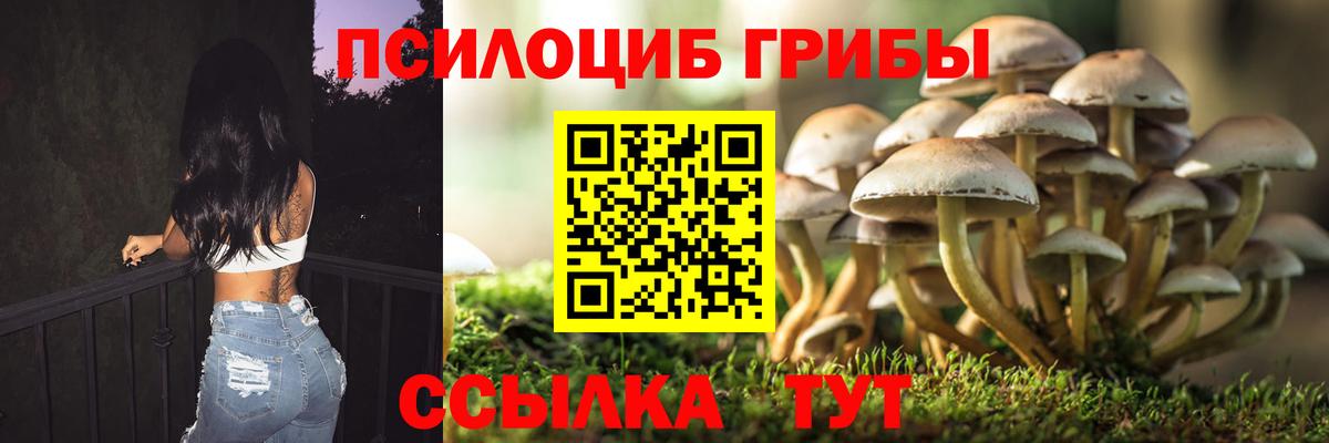 Псилоцибиновые грибы MAGIC MUSHROOMS Лесозаводск